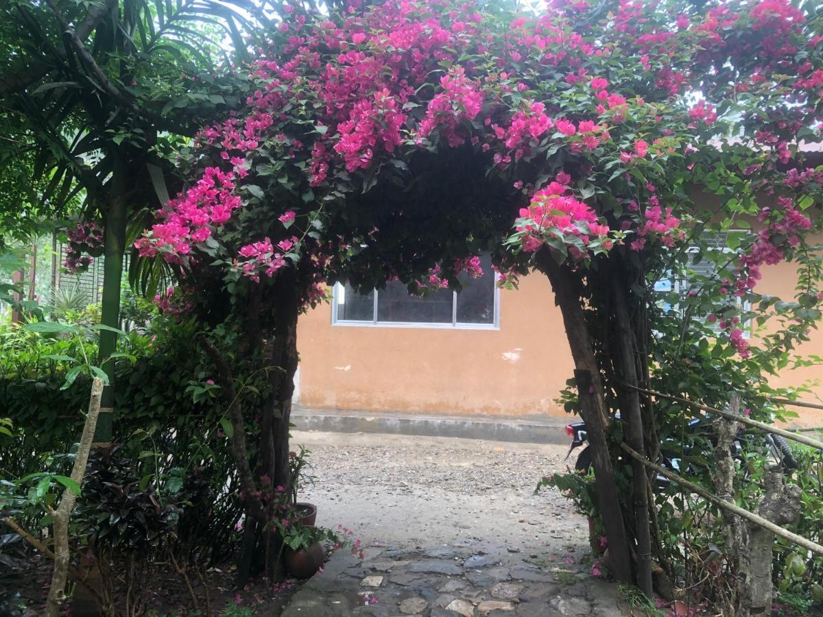 Tara Guesthouse - Sauraha,Chitwan Luaran gambar