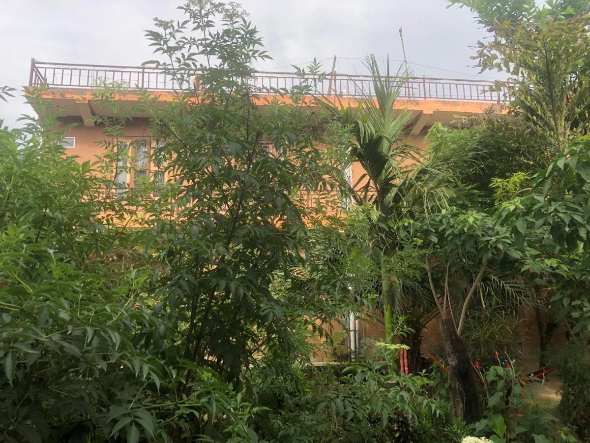 Tara Guesthouse - Sauraha,Chitwan Luaran gambar