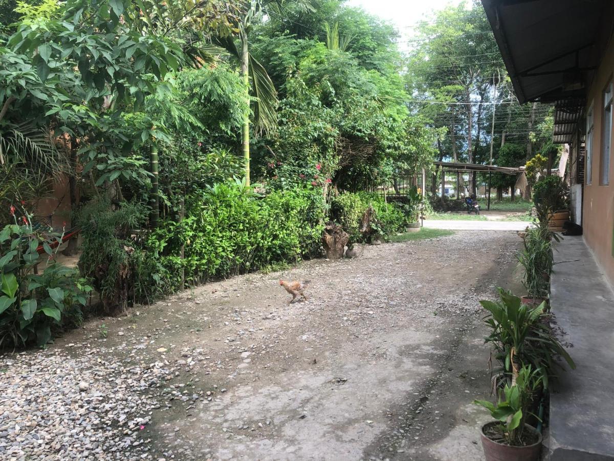 Tara Guesthouse - Sauraha,Chitwan Luaran gambar