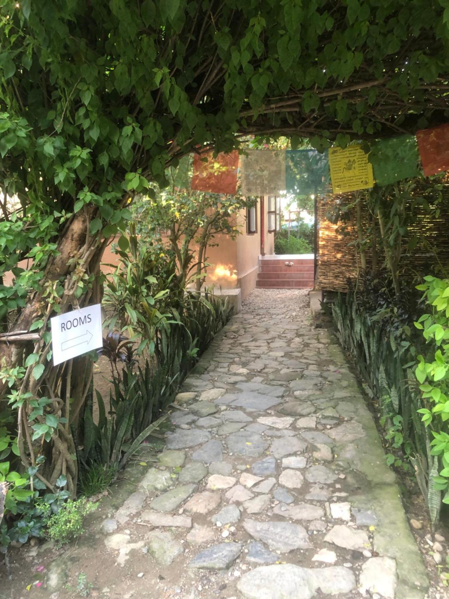 Tara Guesthouse - Sauraha,Chitwan Luaran gambar