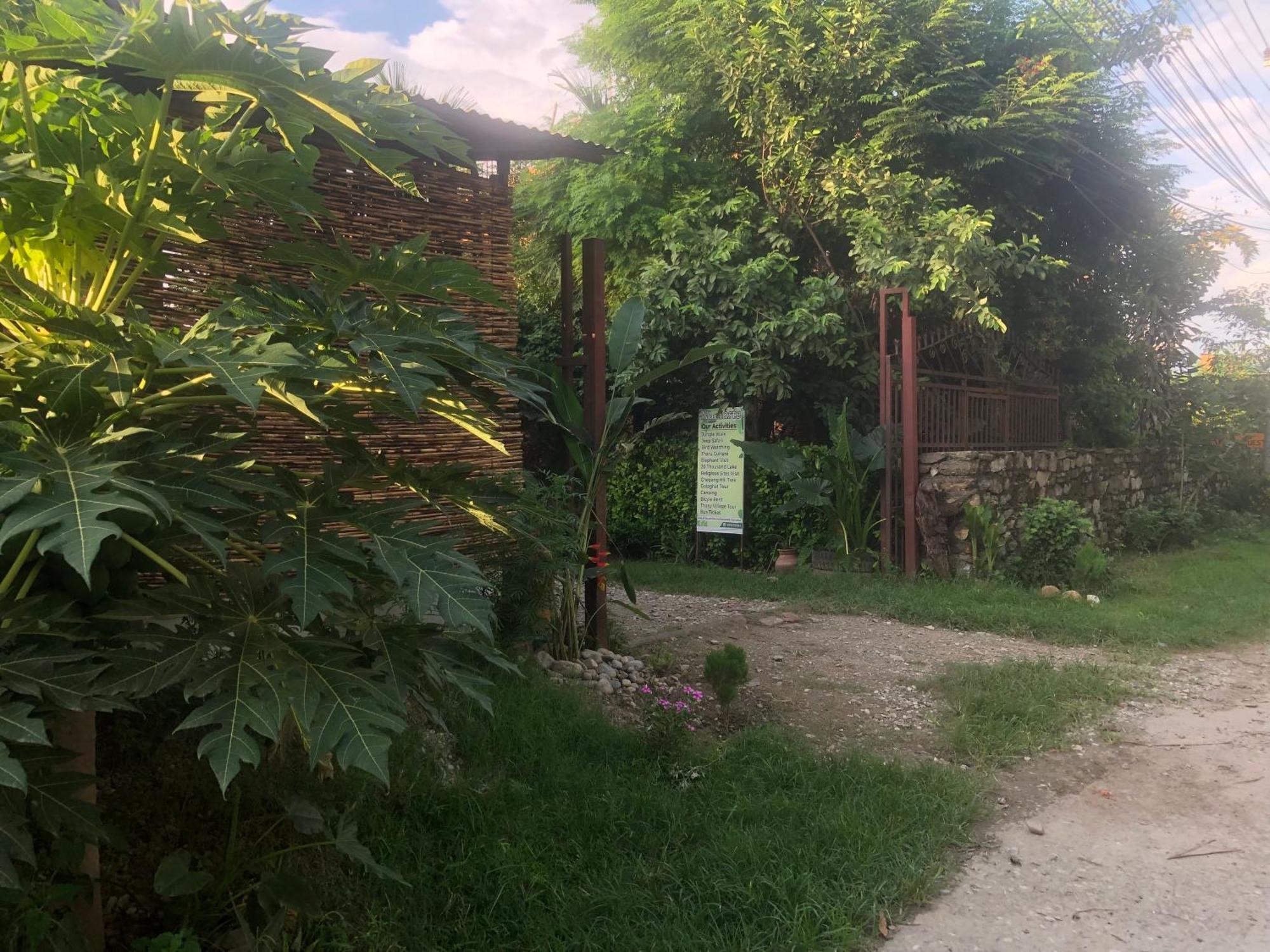 Tara Guesthouse - Sauraha,Chitwan Luaran gambar